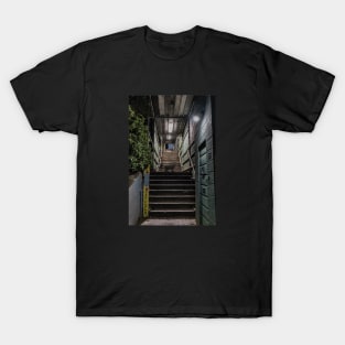 Cat in the stairs T-Shirt